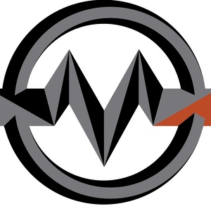 Maddox Electric - "The Rolling Strikes"